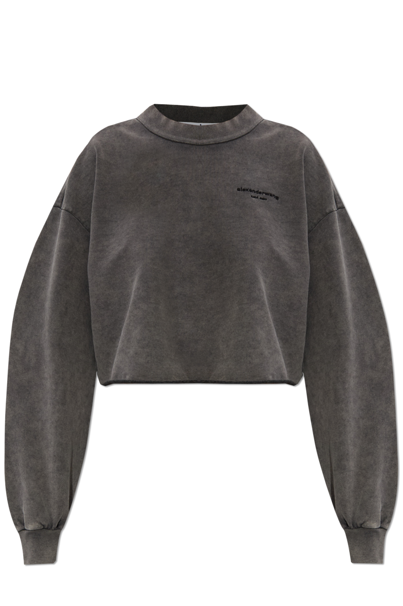 袖ロゴ【alexanderwang】オーバーサイズ スウェットシャツ Alexander Wang ロゴ スウェットシャツ | ブラック | FARFETCH JP